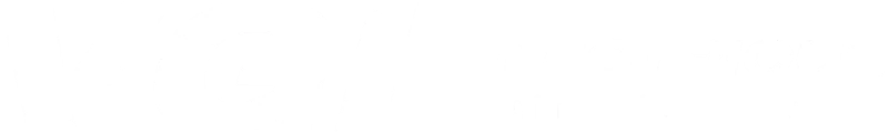 VGI Électrique