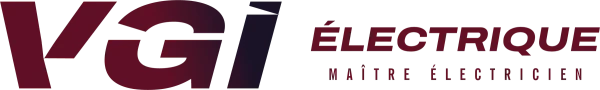 VGI Électrique